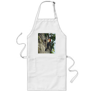 Red-bellied Woodpecker Long Apron