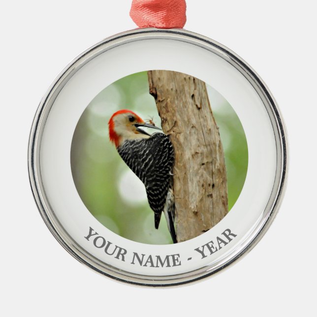 Red-Bellied Woodpecker Metal Ornament (Front)