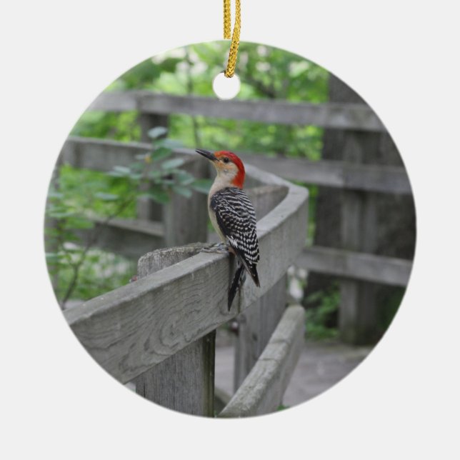 Red-bellied woodpecker ornament (Front)