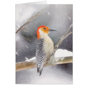 Red-Bellied Woodpecker Painting Original Bird Art