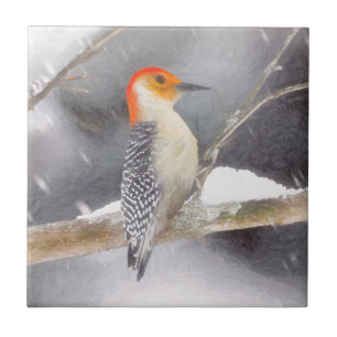 Red-Bellied Woodpecker Painting Original Bird Art Tile