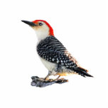 Red-Bellied Woodpecker Photo Sculpture Button<br><div class="desc">An image of a Red-Bellied Woodpecker</div>