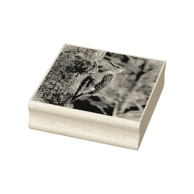 Red Bellied Woodpecker Rubber Stamp (Stamp)