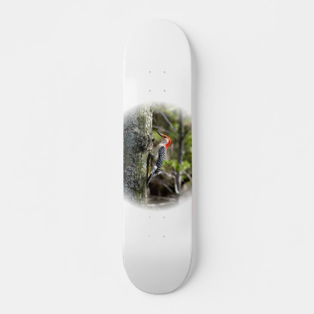 Red Bellied Woodpecker Skateboard (Front)