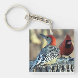 Red Bellied Woodpecker with Red Cardinal Keychain