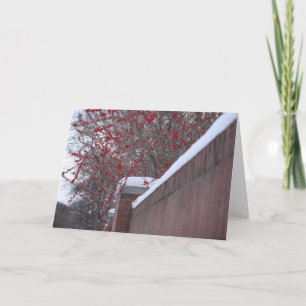 Red Berries and Snowy Fence Christmas card