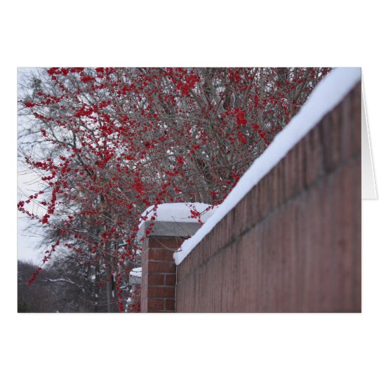 Red Berries and Snowy Fence Christmas card