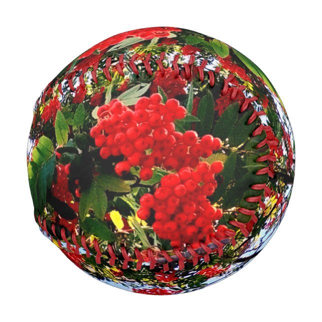 Red berries baseball (Front Right)