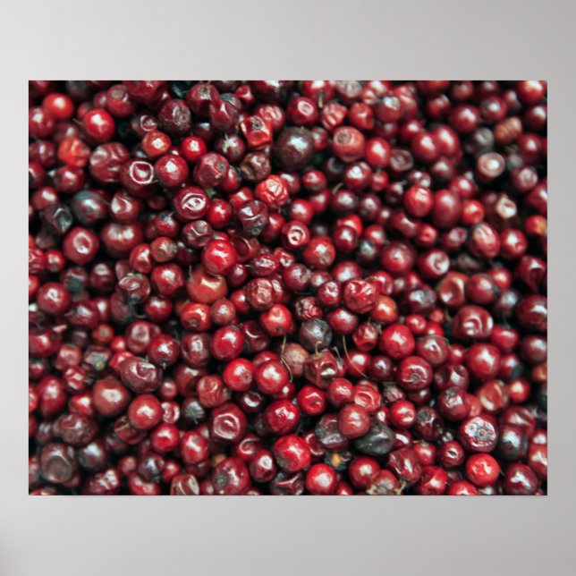 Red berries of the Himalayas Poster (Front)