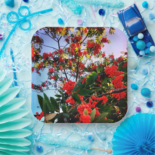 Red berries paper plate (Party)