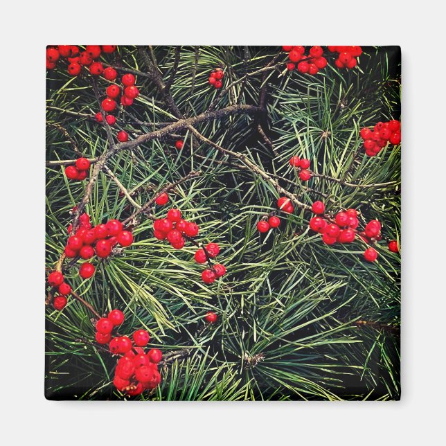 Red Berries Pine Needles Christmas Magnet (Front)