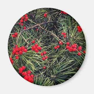 Red Berries Pine Needles Christmas Magnet
