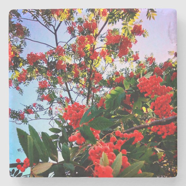 Red berries stone coaster (Front)