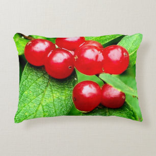 Red Berries With Raindrops Close Up  Accent Pillow
