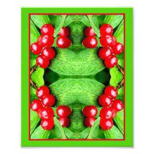 Red Berries With Raindrops Mirror Abstract Nature  Photo Print