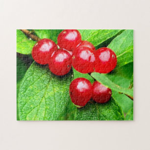Red Berries With Raindrops Nature  Jigsaw Puzzle