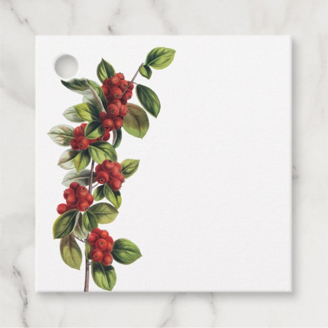 Red Berry Branch Christmas Gift Tags (Front)