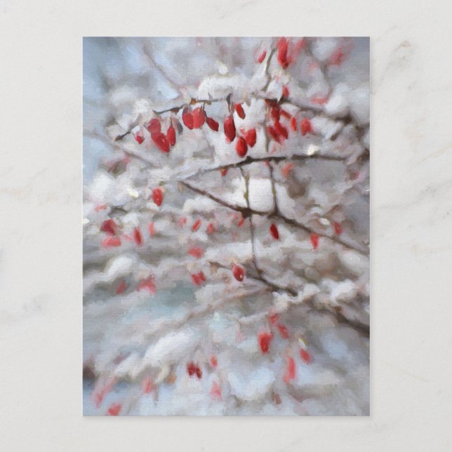 Red Berry Bush in Winter Painting Postcard (Front)