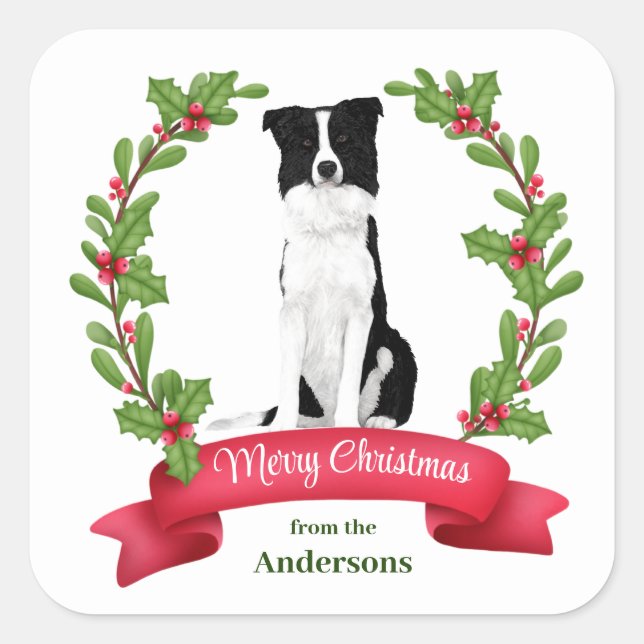 Red Berry Holly Banner Border Collie Dog Christmas Square Sticker (Front)