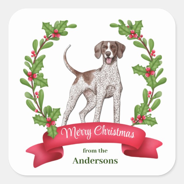 Red Berry Holly Banner Pointer Dog Christmas Square Sticker (Front)