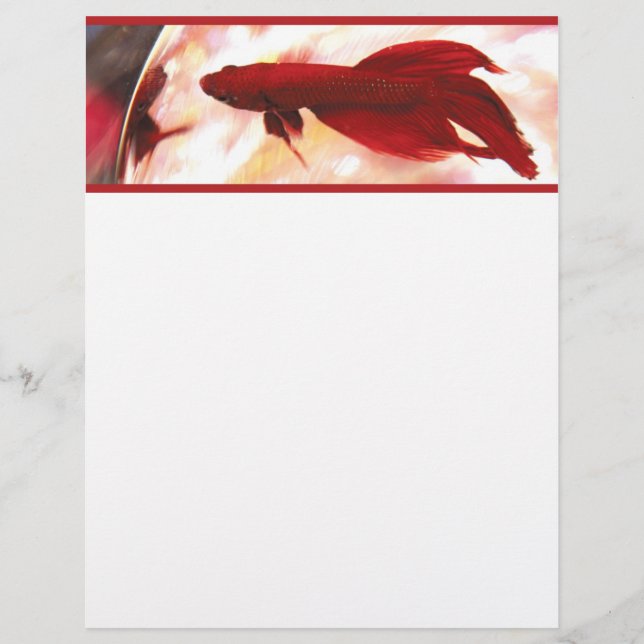 Red Betta Fish (Front)