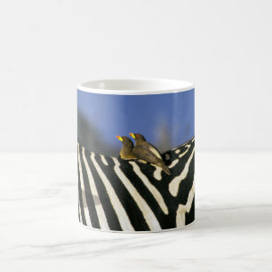 Red-billed oxpecker bird on a Zebra back- Zimbabwe Coffee Mug