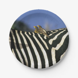Red-billed oxpecker bird on a Zebra back- Zimbabwe Paper Plate
