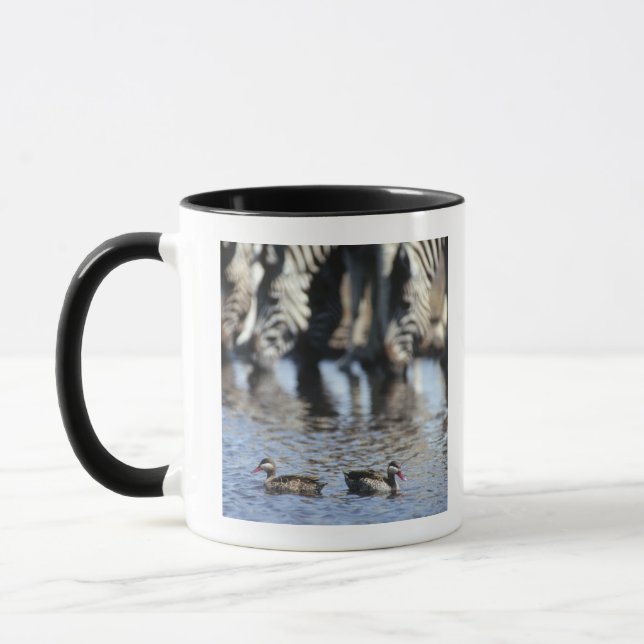Red-billed teal (Anas erythrorhyncha) pair in Mug (Left)