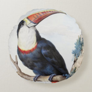 Red-billed Toucan (1748) by Aert Schouman Round Pillow