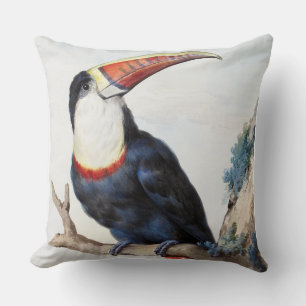 Red-billed Toucan (1748) by Aert Schouman Throw Pillow