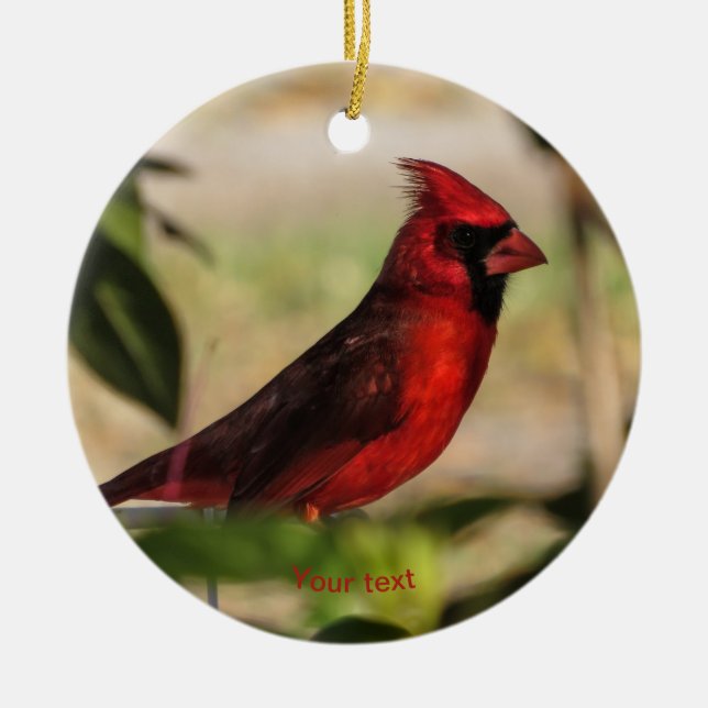 Red bird male Cardinal photography Ceramic Ornament (Front)