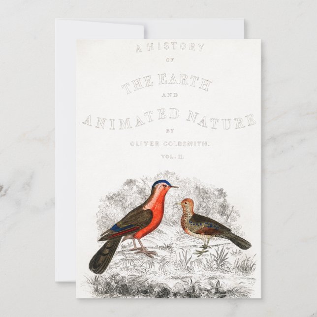 Red Birds Couple Timothee chalamet, call me by you Invitation (Front)