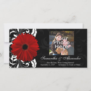 Red, Black and White Scroll Gerbera Daisy Save The Date