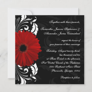 Red, Black and White Scroll Gerbera Daisy Square Invitation