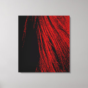 Red & Black Horse Mane Stretrched Canvas Print