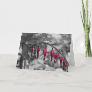 Red Bleeding Hearts Card