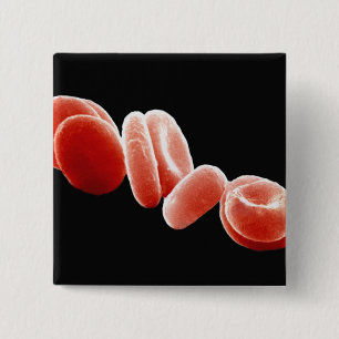 Red Blood Cells 2 Inch Square Button