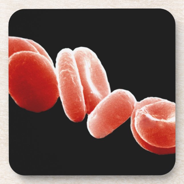 Red Blood Cells Coaster (Front)