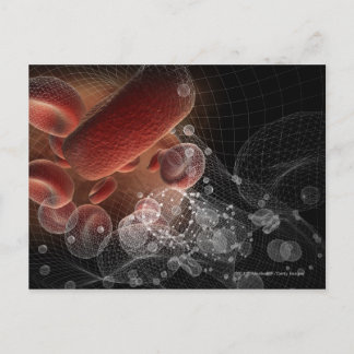 Red blood cells in wireframe postcard