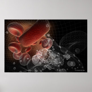 Red blood cells in wireframe poster