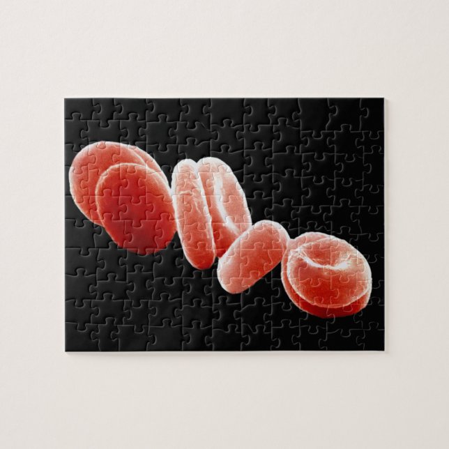 Red Blood Cells Jigsaw Puzzle (Horizontal)