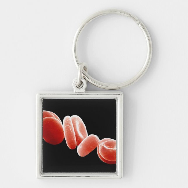 Red Blood Cells Keychain (Front)