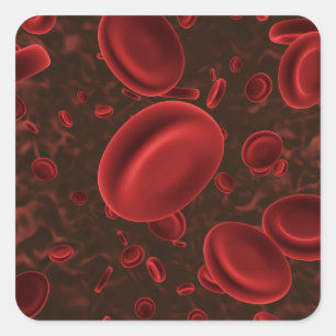 Red Blood Cells Microscopic Square Sticker