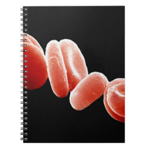 Red Blood Cells Notebook