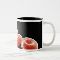 Red Blood Cells
