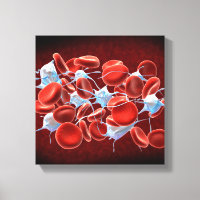Red Blood Cells With Leukocytes