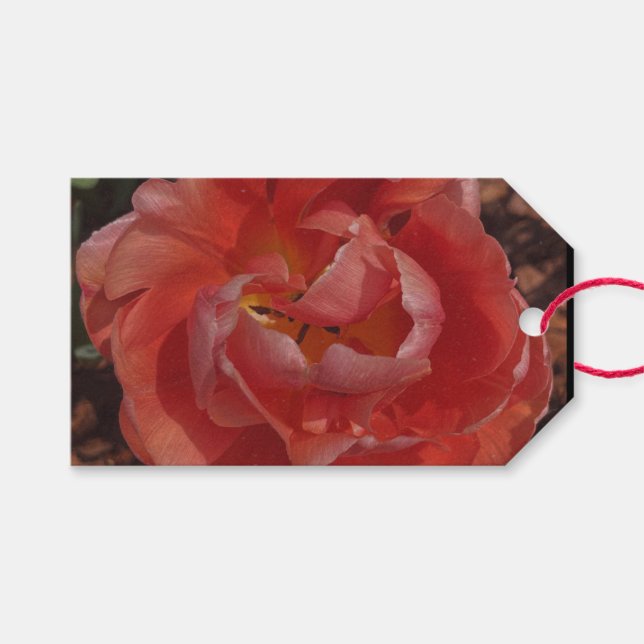 red blossom  gift tags (Front (Horizontal))