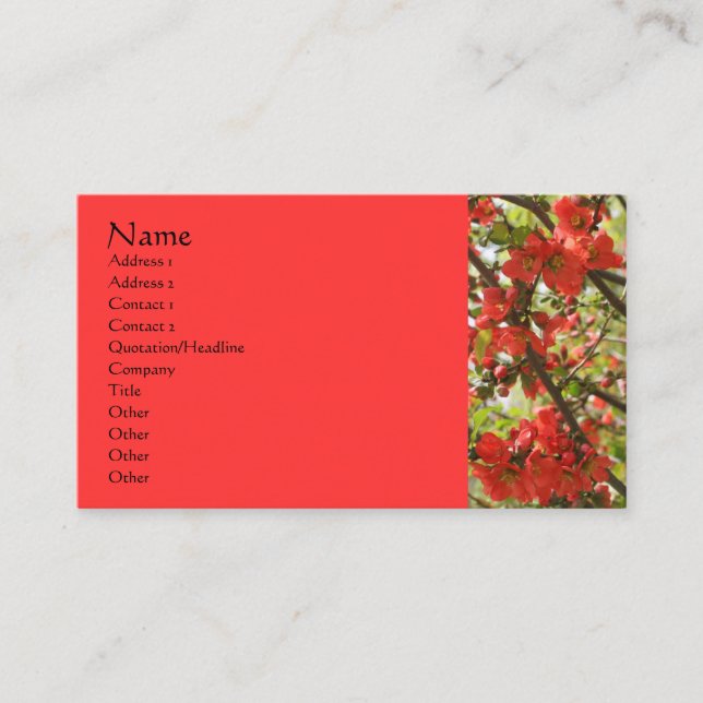 Red Blossoms Flower Photography Business Card (Front)