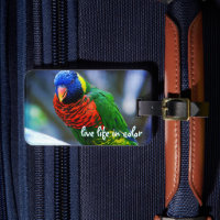 Red Blue Green Bird Live Life in Colour Quote