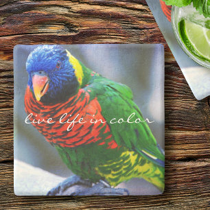 Red Blue Green Bird Photo Live Life in Colour Quot Stone Coaster